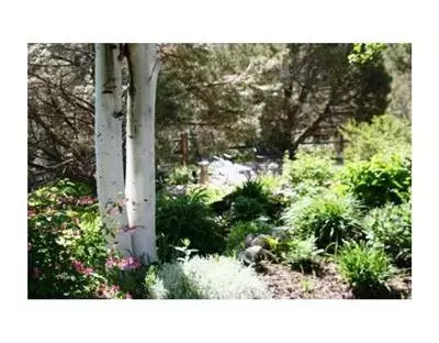 205 Castle Peak Rd, Eagle, CO 81631 photo 7