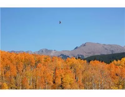 71 Big Sage Ct, Eagle, CO 81631 photo 12