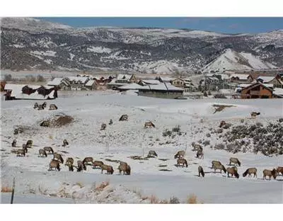 71 Big Sage Ct, Eagle, CO 81631 photo 3