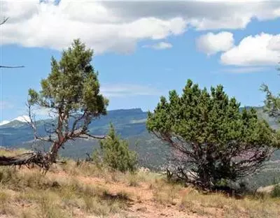 36 Green Mountain Dr, Eagle, CO 81631 photo 4