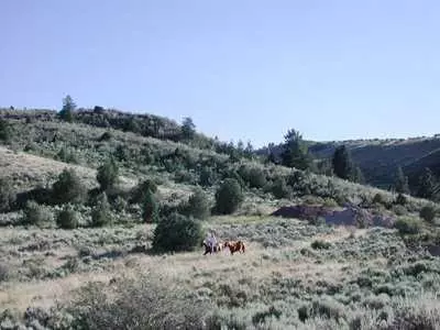 326 Brett, Edwards, CO 81632 photo 4