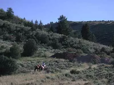 326 Brett, Edwards, CO 81632 photo 3