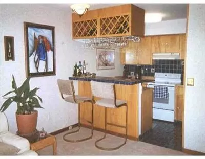 411 Eagle Dr #12, Avon, CO 81620 photo 3