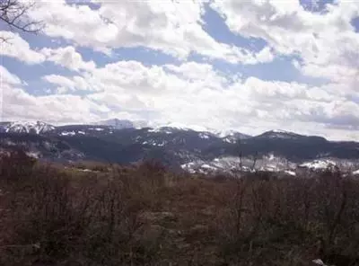 994 Webb Peak, Edwards, CO 81632 photo 5