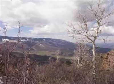 994 Webb Peak, Edwards, CO 81632 photo 1