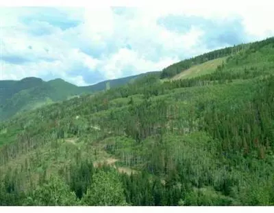 1390 Buffehr Creek Rd #3, Vail, CO 81657 photo 1
