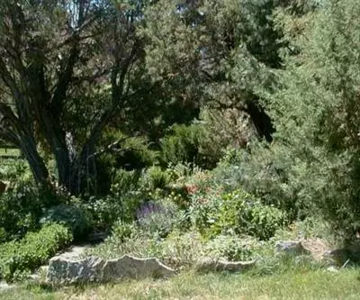 554 Mesa Dr, Eagle, CO 81631 photo 5