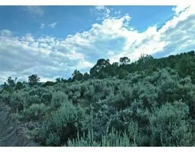 1126 Hernage Creek Rd, Eagle, CO 81631 photo 1
