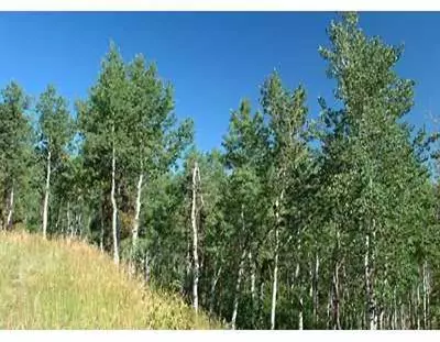 832 Forest, Edwards, CO 81632 photo 1