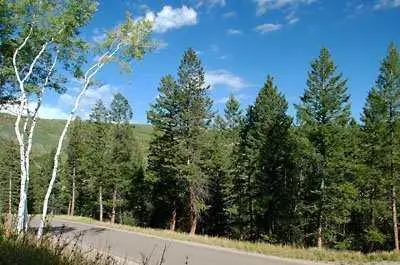 101 Sunquist Rd, Edwards, CO 81632 photo 2