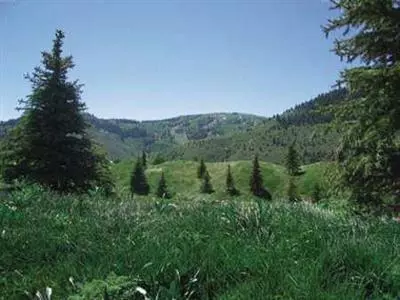 20 Eagle River Rd, Edwards, CO 81632 photo 3