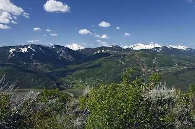 236 Wild Rose, Avon, CO 81620 photo 2