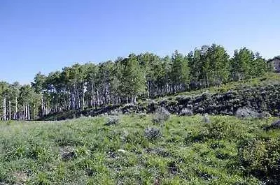 236 Wild Rose, Avon, CO 81620 photo 1