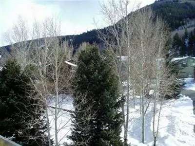 39 Deer Ct #E, Avon, CO 81620 photo 5