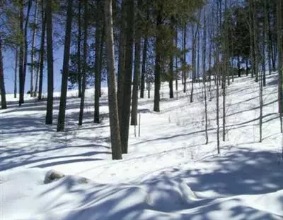 36 E Timber Draw Rd, Edwards, CO 81632 photo 2