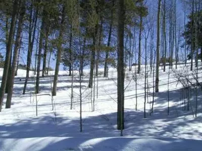 36 E Timber Draw Rd, Edwards, CO 81632 photo 3