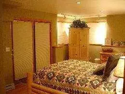 431 Big Dipper Rd, Wolcott, CO 81655 photo 3