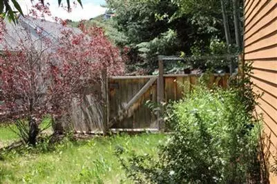 325 Riverside Dr, Basalt, CO 81621 photo 5