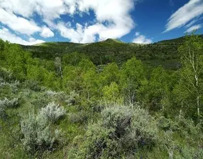201 Eagle Crest Rd, Edwards, CO 81632 photo 5
