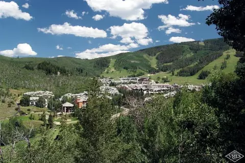 97 Borders Rd, Beaver Creek, CO 81620 photo 24