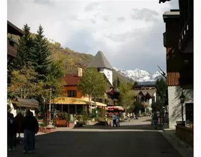 292 E Meadow Dr #216, Vail, CO 81657 photo 10