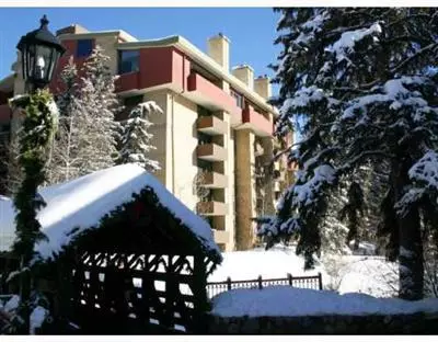 292 E Meadow Dr #216, Vail, CO 81657 photo 9