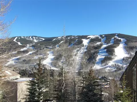 800 Potato Patch Dr #A, Vail, CO 81657 photo 3