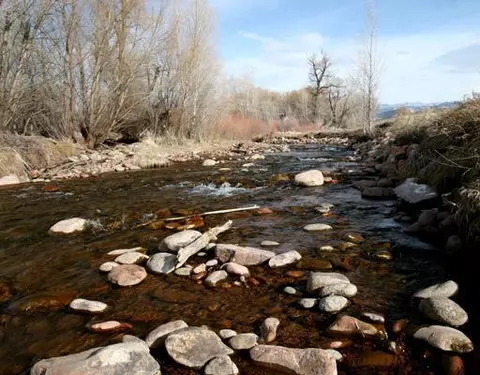 529 Howard St, Eagle, CO 81631 photo 15