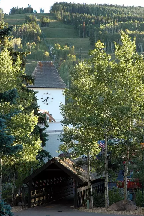 713 Bull Run, Eagle, CO 81631 photo 9
