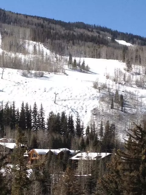 500 S Frontage Rd E #A409, Vail, CO 81657 photo 2