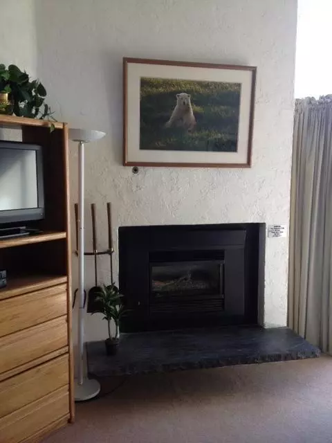 500 S Frontage Rd E #A409, Vail, CO 81657 photo 4
