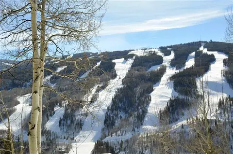 799 Potato Patch Dr #A, Vail, CO 81657 photo 24