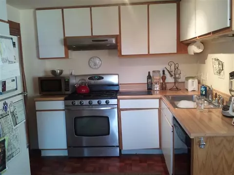 417 Eagle St, Red Cliff, CO 81649 photo 10