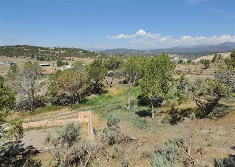 65 Fulford Dr, Eagle, CO 81631 photo 22
