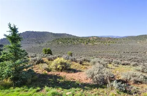 82 S Penstemon Ln, Eagle, CO 81631 photo 12