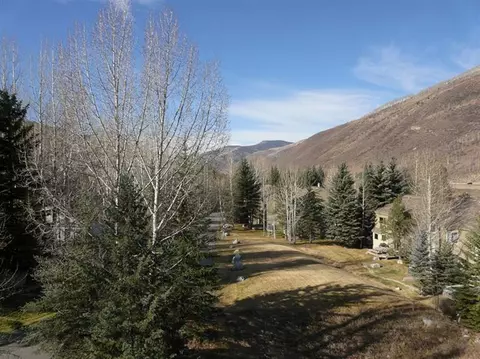 1650 Fallridge Rd #404, Vail, CO 81657 photo 3