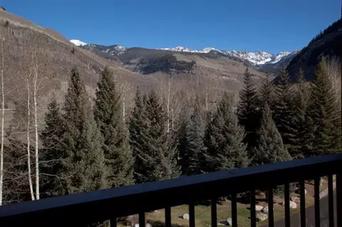 1650 Fallridge Rd #312, Vail, CO 81657 photo 4