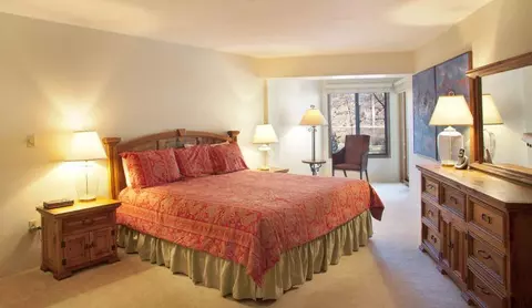 1650 Fallridge Rd #312, Vail, CO 81657 photo 3