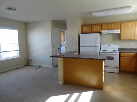 261 Longview Ave, Eagle, CO 81631 photo 10