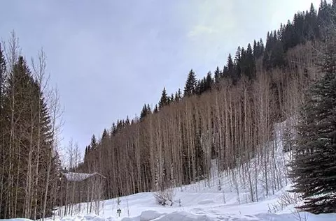 4288 Nugget Ln, Vail, CO 81657 photo 1