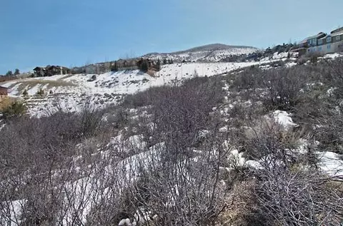 400 Lariat Loop, Edwards, CO 81632 photo 3