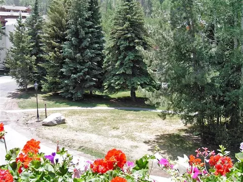 103 Willow Pl #301, Vail, CO 81657 photo 9