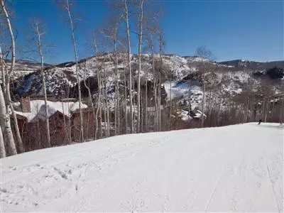 111 Borders Rd, Beaver Creek, CO 81620 photo 10