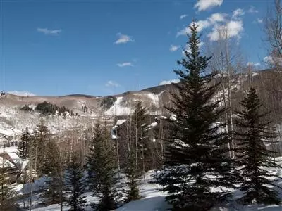 111 Borders Rd, Beaver Creek, CO 81620 photo 18