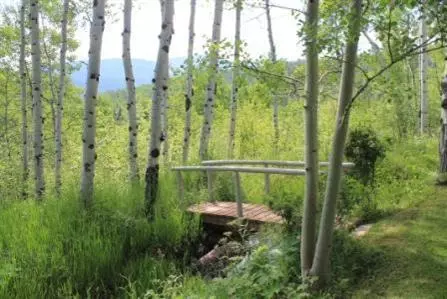 477 Pilgrim Dr, Edwards, CO 81632 photo 16