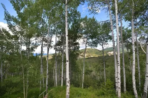 477 Pilgrim Dr, Edwards, CO 81632 photo 15