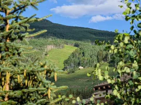 74 Willow Rd #305, Vail, CO 81657 photo 20