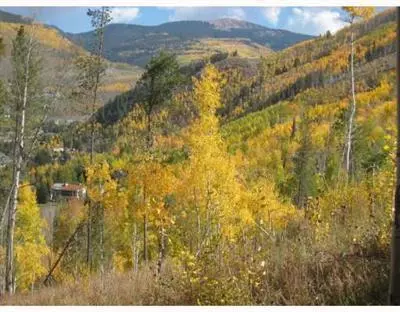 2275 Alpine Dr, Vail, CO 81657 photo 2