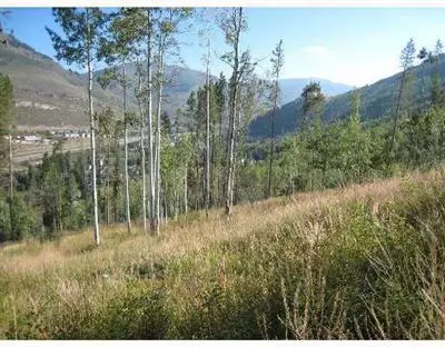 2275 Alpine Dr, Vail, CO 81657 photo 7