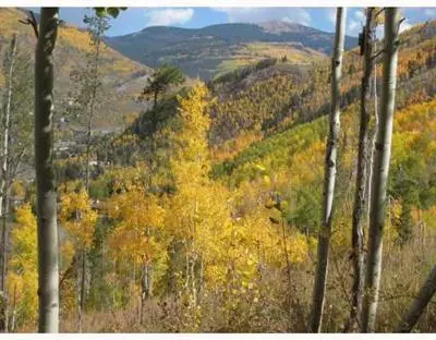 2275 Alpine Dr, Vail, CO 81657 photo 1